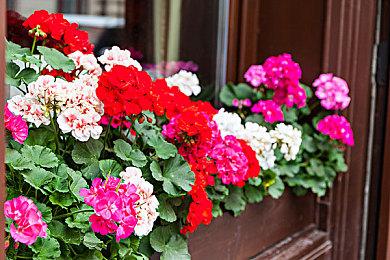 Roguelike冒险游戏《深蓝之旅》Steam页面上线 支持简中